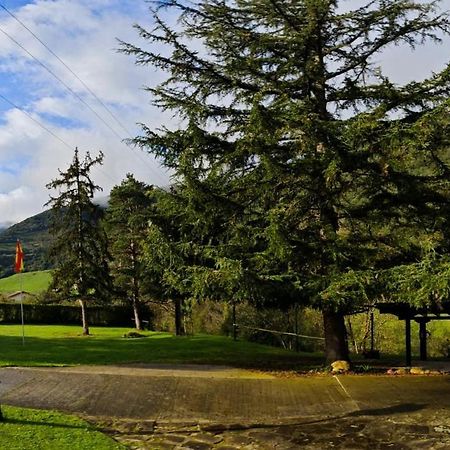 El Nial De Los Pinos Ojedo Bagian luar foto