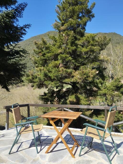 El Nial De Los Pinos Ojedo Bagian luar foto